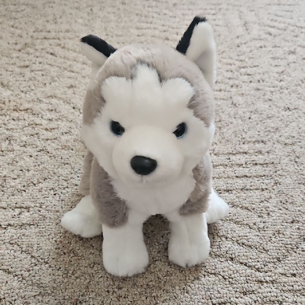 Hugs & Cuddles Husky Dog Plush Stuffed Animal Blue Eyes Gray White Soft Toy